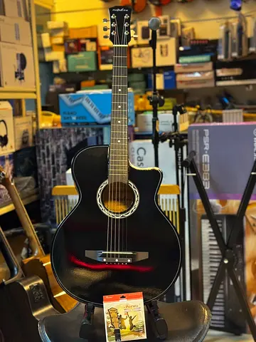 Fender Acoustic Electric Guitar for Sale