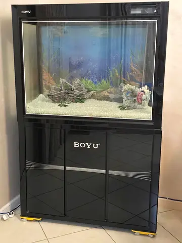 Fish Aquarium