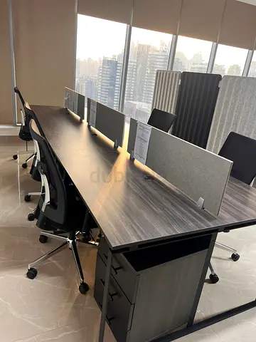 Modern Office Workstation with Dividers