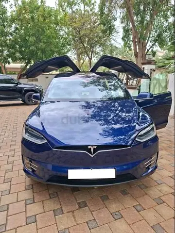 TESLA ,MODEL X 100D 2019