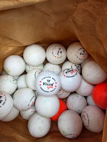 Hard Plastic Cricket Balls