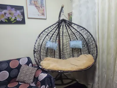 Swing Chair - Black  Brown Colour