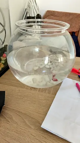 Aquarium with Decorative Stones