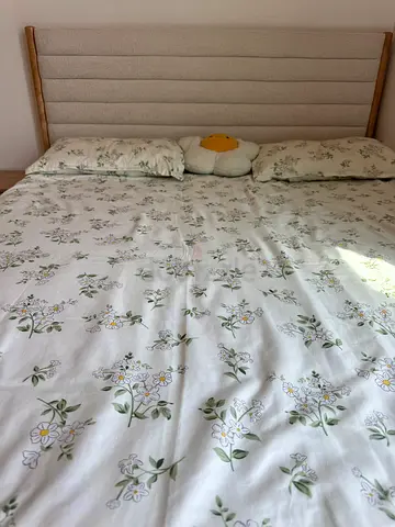 Queen Size Bed with orthopedic mattress