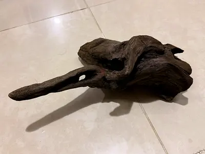 Aquarium  wood  (15cm)