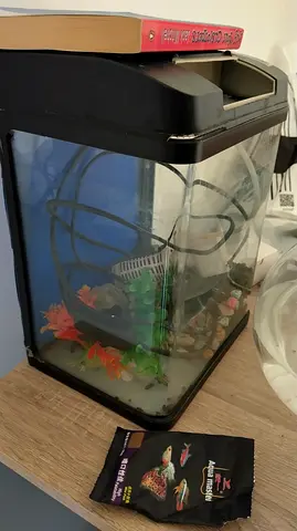 Fish Aquarium for Sale with filter,stones and design flowers