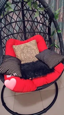 Stylish Hanging Egg Chair with Cushions