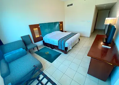 Luxury master bedroom