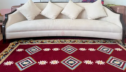 Elegant Curved Sofa with Cushions