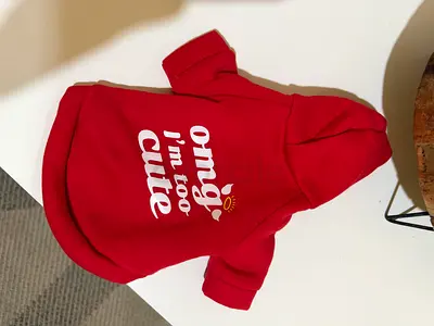 Adorable Kitten Cat Red Hoodie