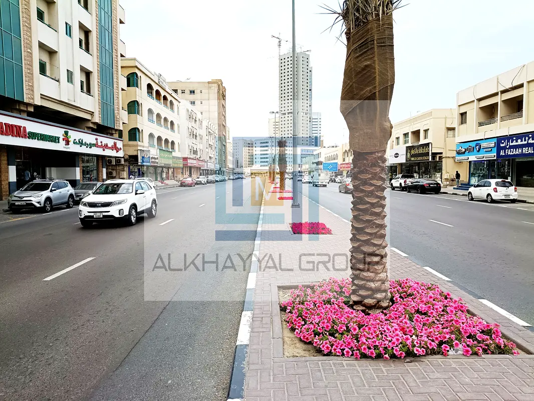 gallery-image