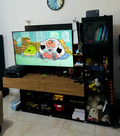 TV unit