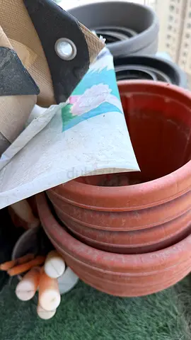 Plant Stuffs- Shelves and Pots