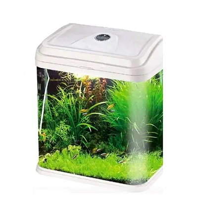 Aquarium with Led light