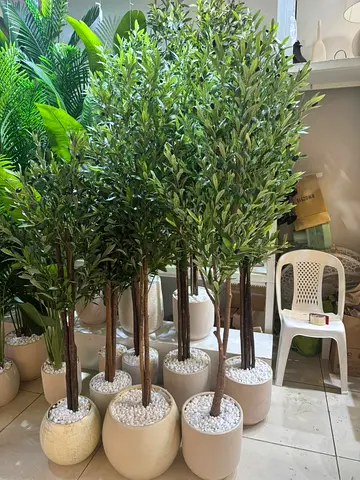 Stylish Indoor Artificial plant with beautiful pot price for one only