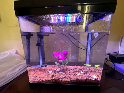 Fish Aquariam