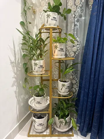 Stylish Indoor Plant Stand with Pots
