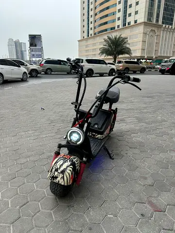 Harley Electric Scooter 48V – 2 battery –
