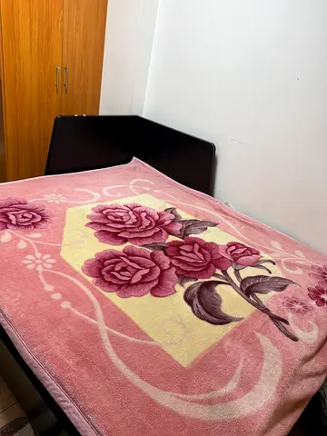 Day bed with mattress