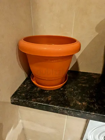 Terracotta Plant Pot