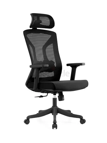 Ergonomic Office Chair with Mesh Back