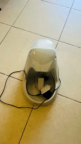 Automatic water dispenser