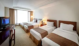 Include All | Fully Furnished Single Bed Space | Ensuit Washroom