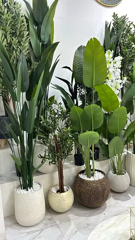 Stylish Indoor Artificial plant with beautiful pot price for one only