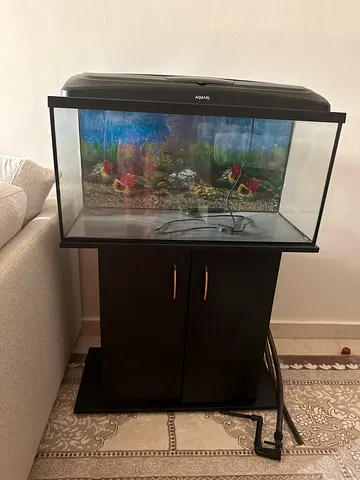Aquarium