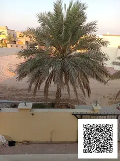 Spacious Family Villa for Rent in Al Mowaihat – Ajman> Rent: AED 95,000/