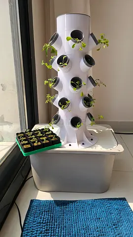 Vertical Hydroponic Planter