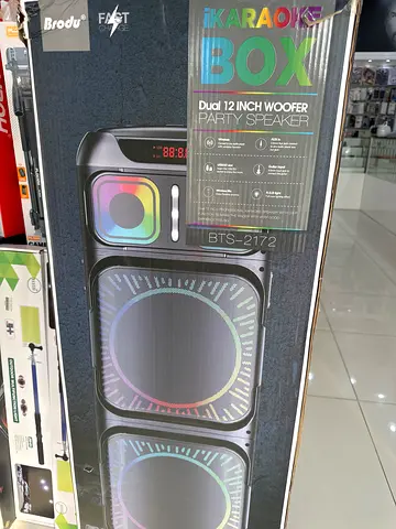 Bro DJs Karaoke Box - Duo 12 Inch Woofer Party Speaker