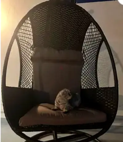Swing chair for terrace
