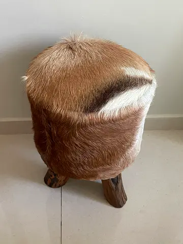 Unique Animal Skin Stool