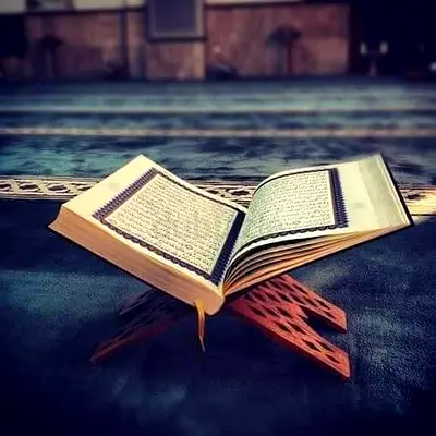 QURAN AND ARABIC TEACHER Learn Qur’an with proper Tajweed with female teachers and QARI ......
