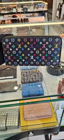 Colorful Louis Vuitton Wallet