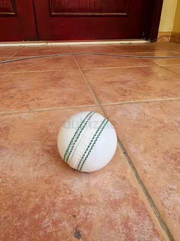 Cricket ball