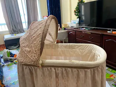 Giggles 2-in-1 Bassinet in throw away price