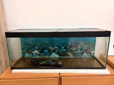 Fish Tank