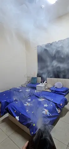 2 bed from home box for free !!
