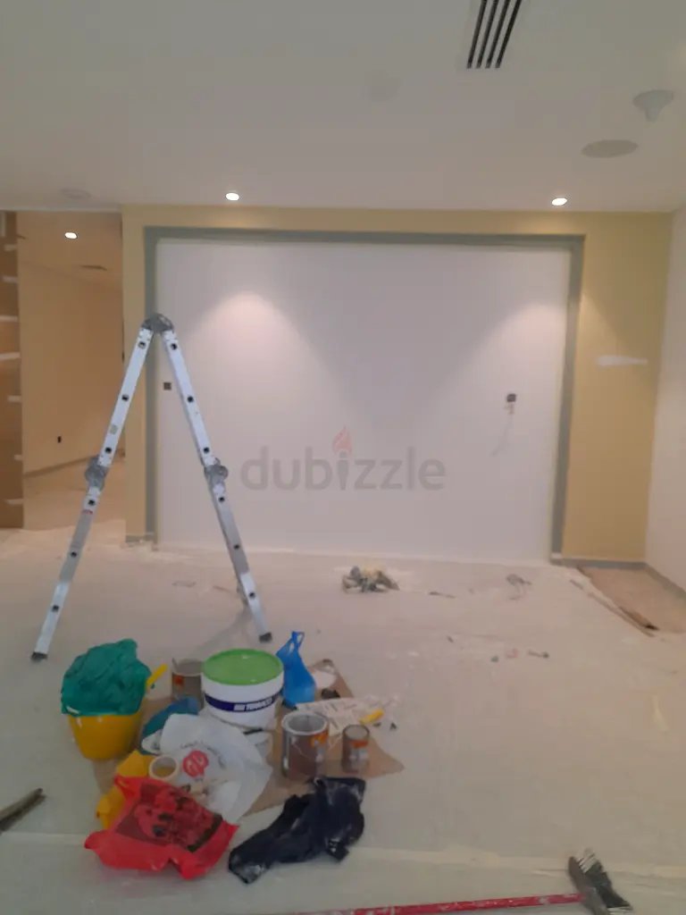 DPV_View_Image_2