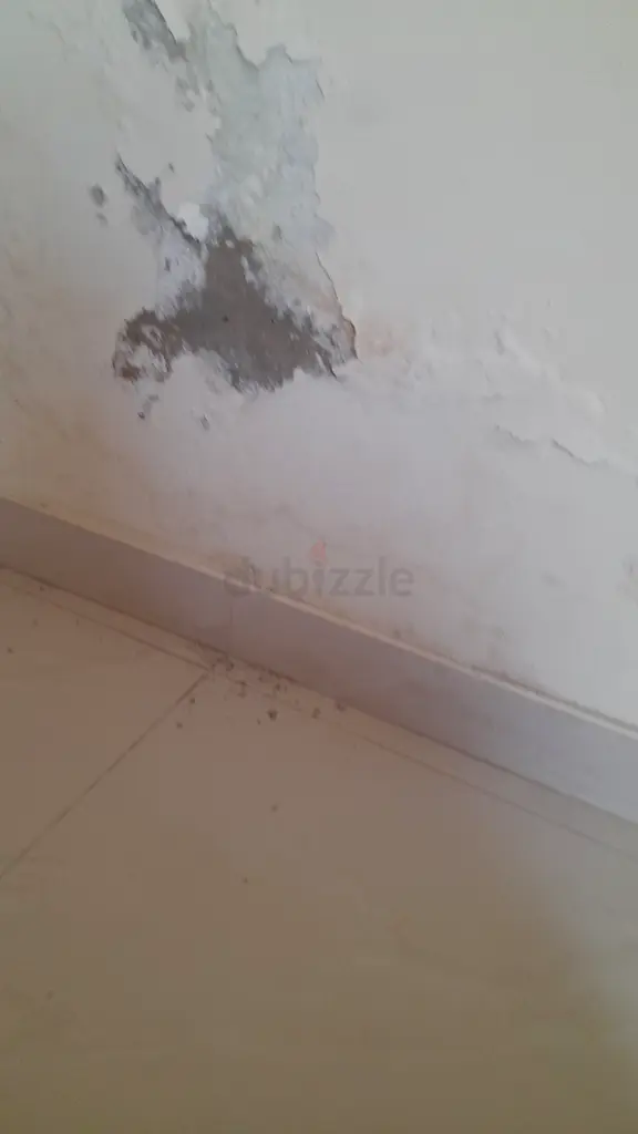 DPV_View_Image_4