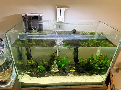 Aquarium with Fish,Plant’s, Filter, and light