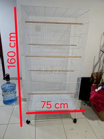 Bird cage new