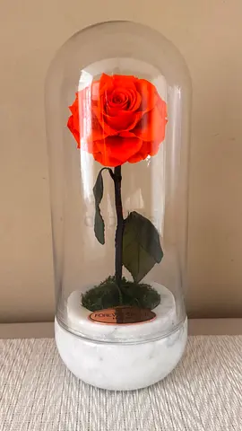 -70% FOREVER ROSE ON A MARBLE STAND