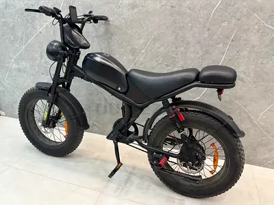 Electric e Bike eBike Fat Tire 55km/h