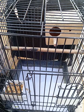 Big Black Cage With A Wooden Nest At A Suitable price!