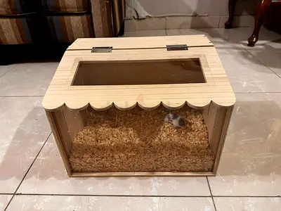Hamster cage with hamster for sale