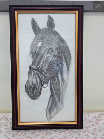Framed Horse Drawing