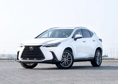 Lexus Nx 350 Luxury 2024
